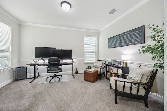 1017 Appalachian Ln, Savannah, TX 76227 - office area with ornamental molding and carpet
