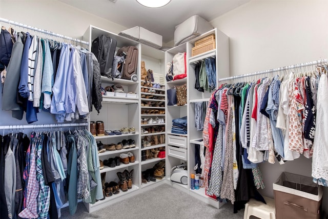 400 Patricia Ln, Highland Village, TX 75077 - walk in closet with carpet