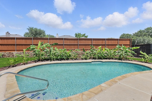 1800 Chatham Dr, Flower Mound, TX 75028 - view of pool featuring a fenced backyard