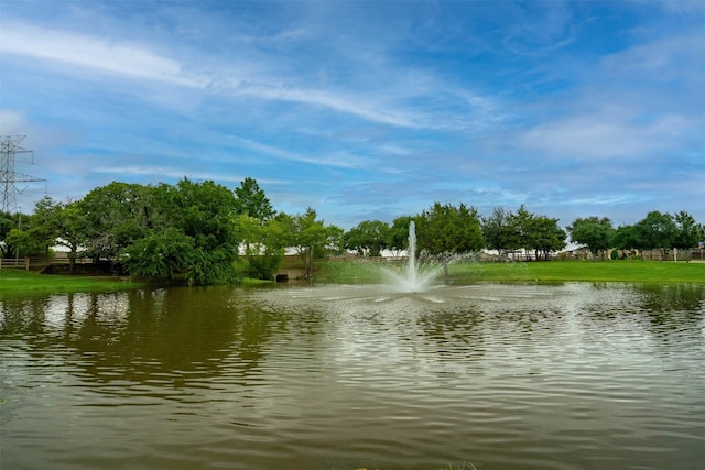 9200 S Field Ln, Arlington, TX 76002 - water view