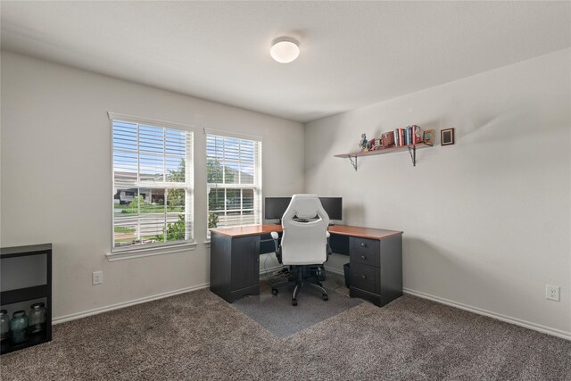 2300 Torch Lake Dr, Forney, TX 75126 - carpeted office space featuring baseboards