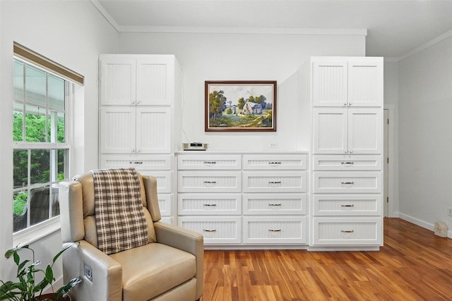 2116 Darby Dan Ct, Granbury, TX 76049 - living area with ornamental molding and light wood-style flooring