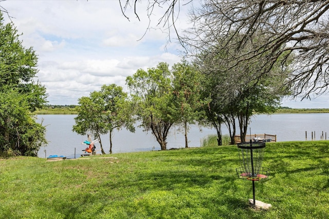 5986 Field Ct, Granbury, TX 76048 - water view