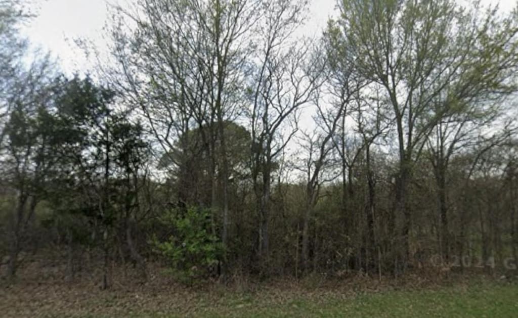 2946 Fm 2946, Emory, TX 75440