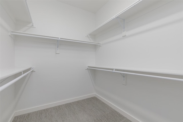 3811 Pine Leaf Ln, Prosper, TX 75078 - walk in closet featuring carpet floors