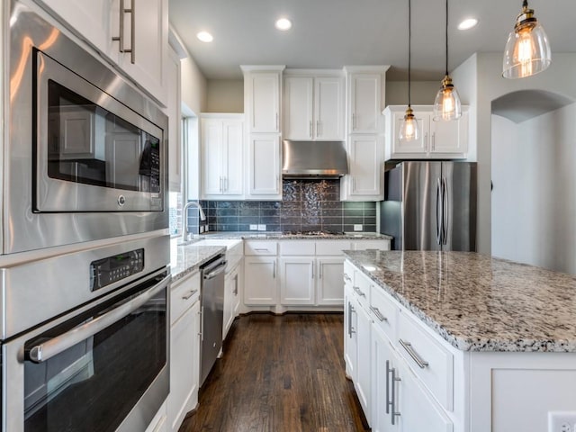 4141 Maclin Dr, Celina, TX 75009 - kitchen featuring appliances with stainless steel finishes, under cabinet range hood, dark wood-style floors, tasteful backsplash, and white cabinets