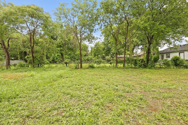3624 Baylor St, Fort Worth, TX 76119 - view of yard