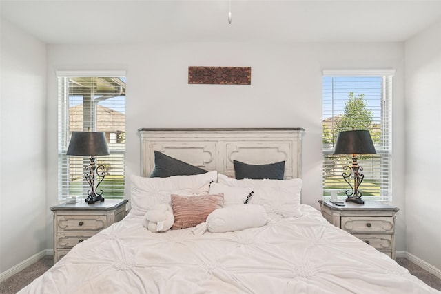 8901 Thompson Rd, Argyle, TX 76226 - bedroom with carpet floors and multiple windows