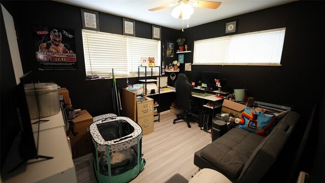 811 Crescent St, Denton, TX 76201 - office area featuring ceiling fan and light wood-style flooring