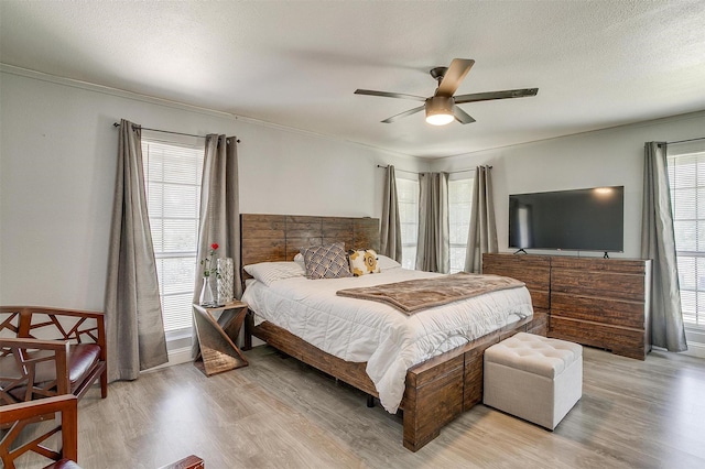 1343 Fernwood Ave, Dallas, TX 75216 - bedroom with light wood-style floors, ceiling fan, and crown molding