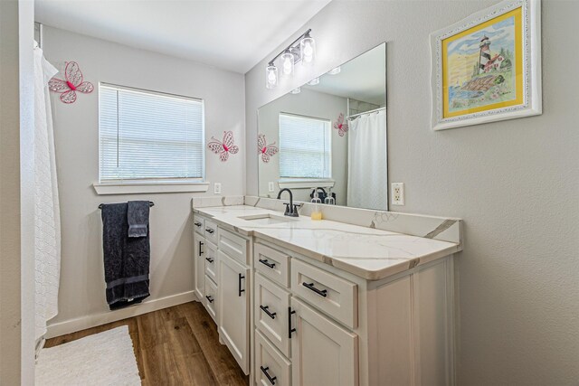 3135 Brazos River Dr, Granbury, TX 76048 - full bathroom featuring wood finished floors and vanity