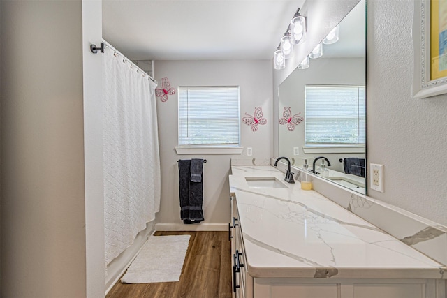 3135 Brazos River Dr, Granbury, TX 76048 - bathroom featuring wood finished floors, healthy amount of natural light, vanity, and a shower with shower curtain