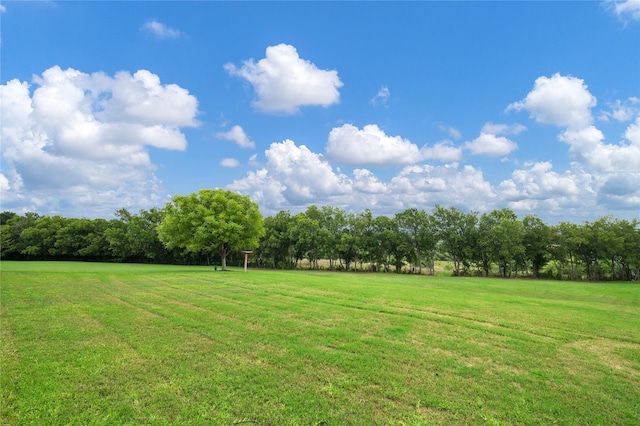 3217 S Bay Breeze Ln, Fort Worth, TX 76179 - view of green lawn