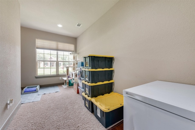 206 Hidden Meadow Cir, Midlothian, TX 76065 - playroom featuring carpet flooring and a textured wall