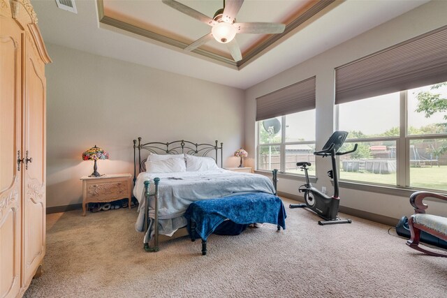 206 Hidden Meadow Cir, Midlothian, TX 76065 - carpeted bedroom with a raised ceiling and ceiling fan