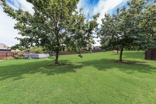 206 Hidden Meadow Cir, Midlothian, TX 76065 - view of yard