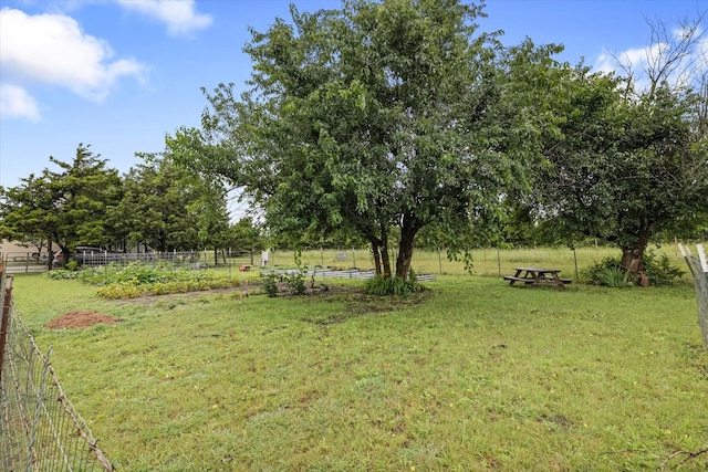 5885 State Highway 160, Whitewright, TX 75491 - view of yard