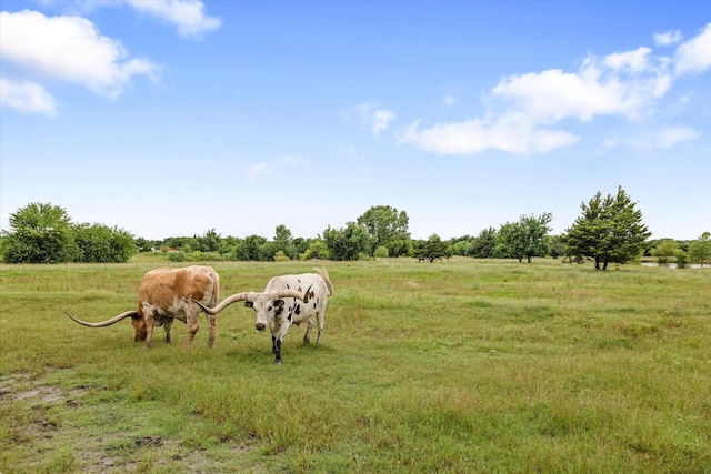 5885 State Highway 160, Whitewright, TX 75491 - view of yard featuring a view of countryside