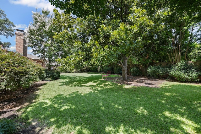 4247 Goodfellow Dr, Dallas, TX 75229 - view of yard