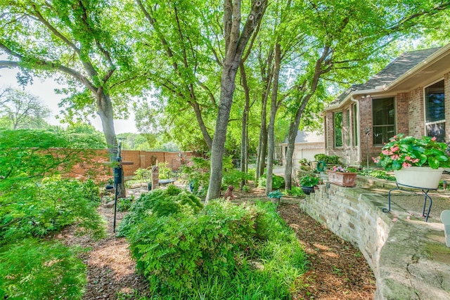 3506 Ash Cir, Richardson, TX 75082 - view of yard