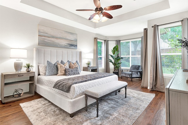 4512 Greenfield Dr, Richardson, TX 75082 - bedroom with a raised ceiling, multiple windows, and wood finished floors