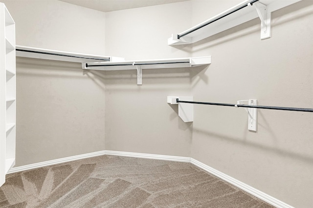 4512 Greenfield Dr, Richardson, TX 75082 - spacious closet with carpet flooring