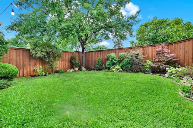 4512 Greenfield Dr, Richardson, TX 75082 - view of fenced backyard