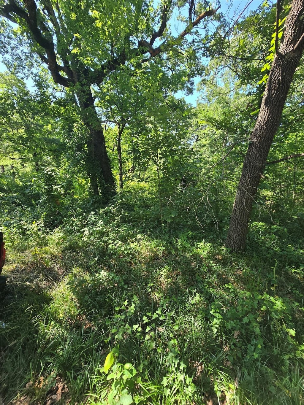 00 Nina St, Payne Springs, TX 75156