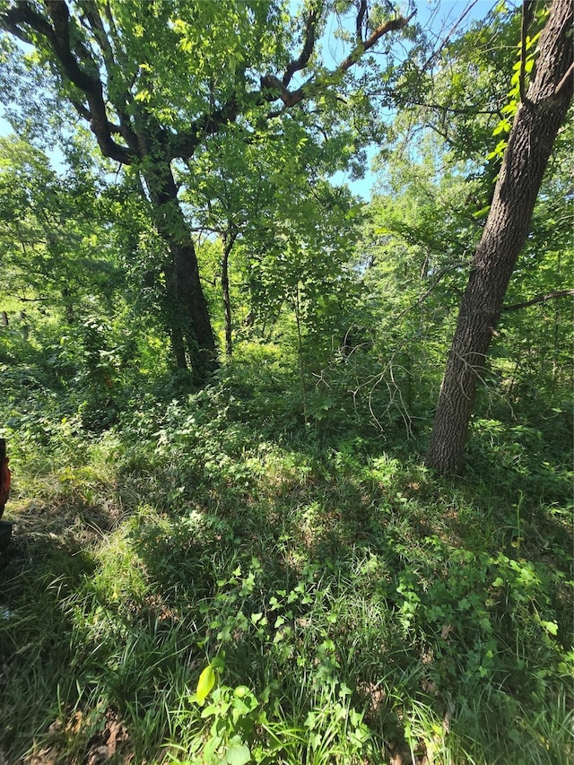 00 Nina St, Payne Springs, TX 75156