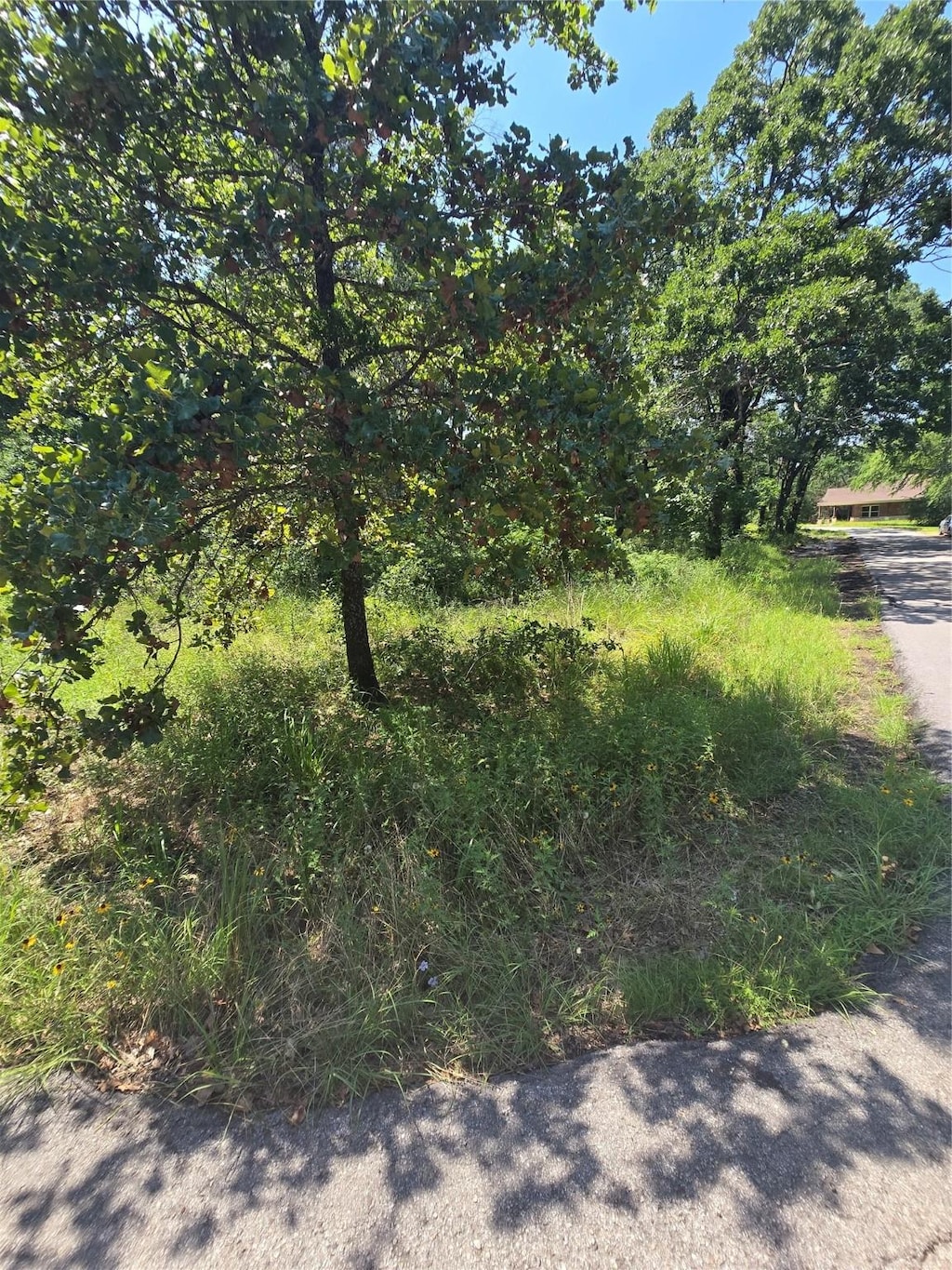 0 Nina St, Payne Springs, TX 75156