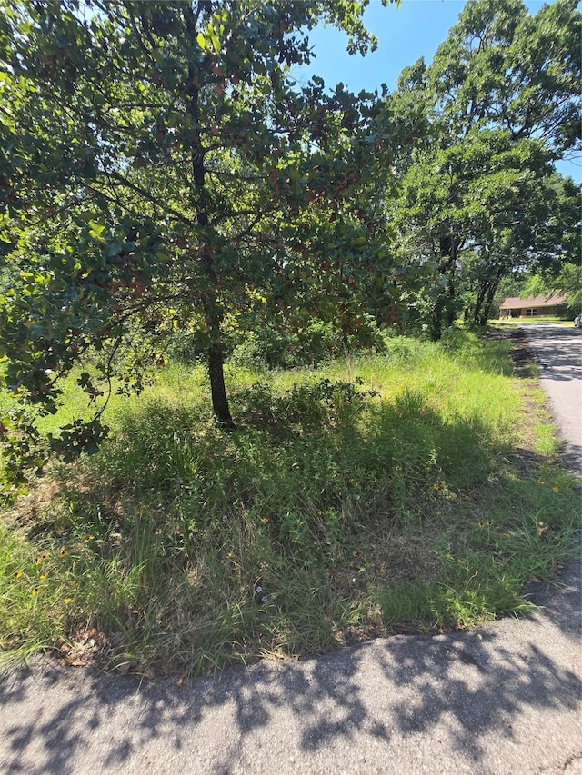 0 Nina St, Payne Springs, TX 75156