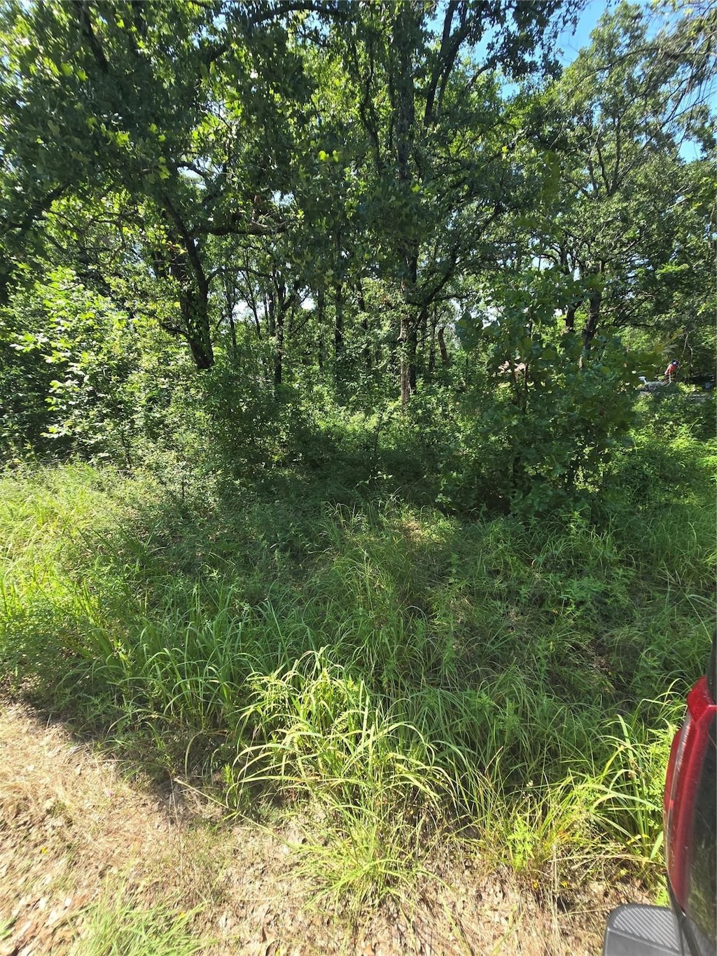 0 Nina St, Payne Springs, TX 75156