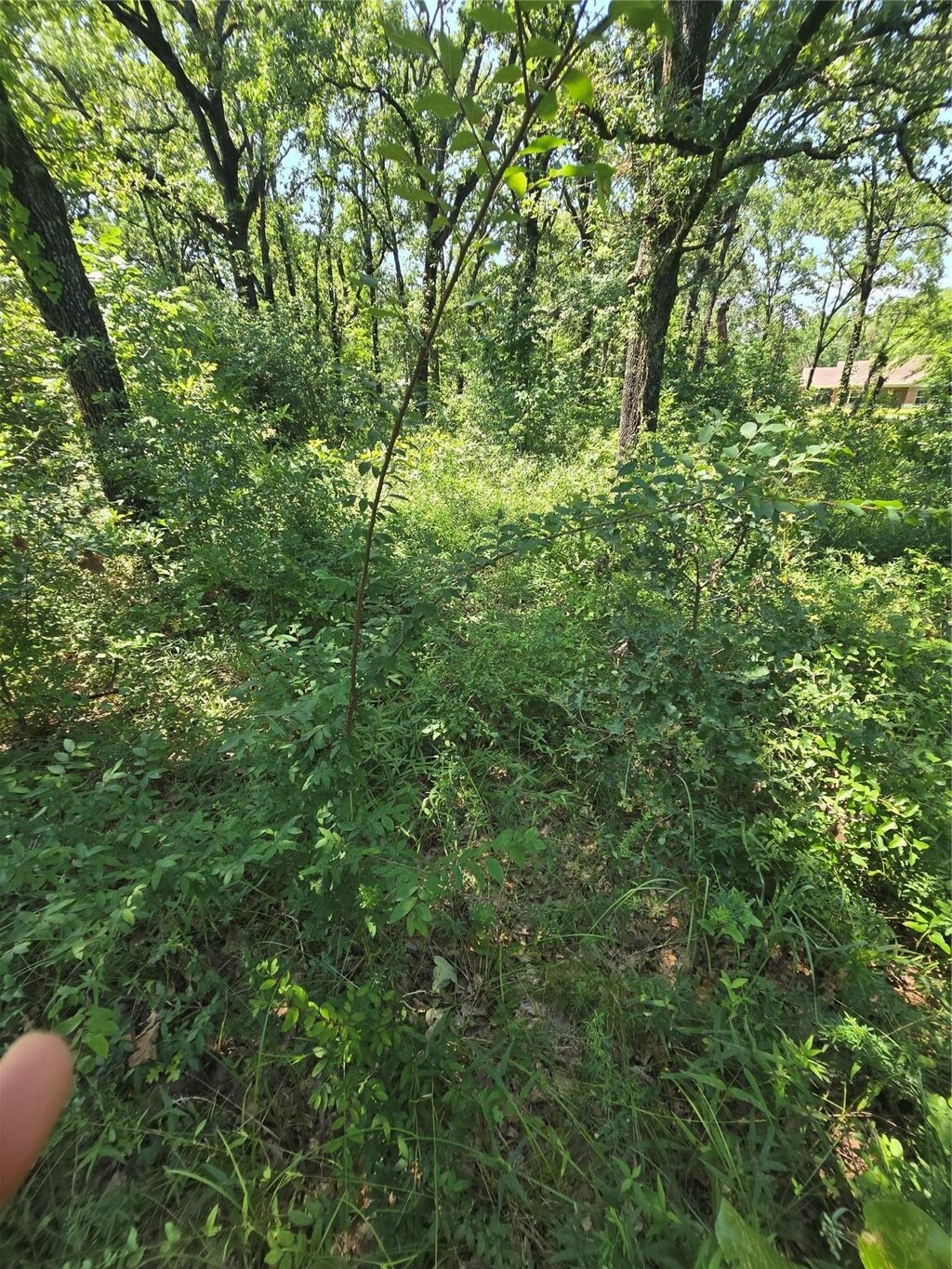 0 Nina St, Payne Springs, TX 75156