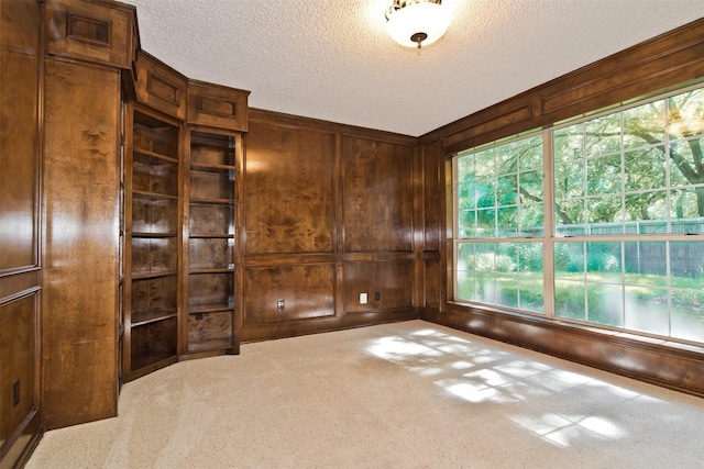 748 Arbor Creek Dr, Desoto, TX 75115 - spare room featuring wooden walls, carpet flooring, and a textured ceiling