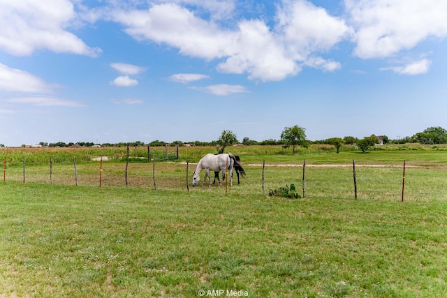 2306 County Road 475, Anson, TX 79501 - view of yard featuring a view of rural / pastoral area