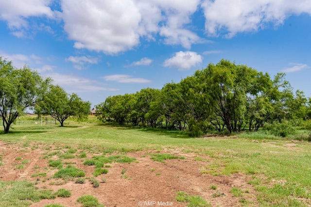 2306 County Road 475, Anson, TX 79501 - view of yard