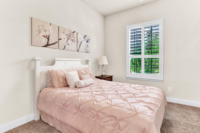 9809 Trinity Dr, Little Elm, TX 75068 - bedroom with carpet floors and baseboards