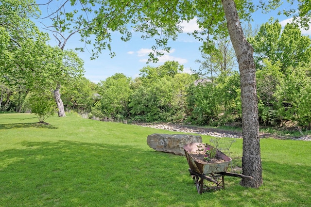3901 Woodside Dr, Arlington, TX 76016 - view of grassy yard