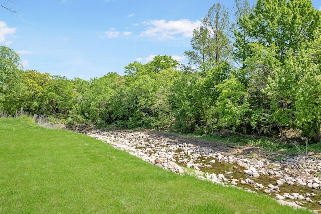 3901 Woodside Dr, Arlington, TX 76016 - view of yard with a forest view