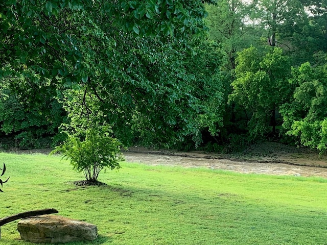 3901 Woodside Dr, Arlington, TX 76016 - view of grassy yard
