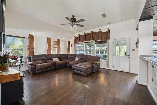 1701 Prairie Creek Ct, Garland, TX 75040 - living area featuring dark wood-style floors, ceiling fan, and lofted ceiling