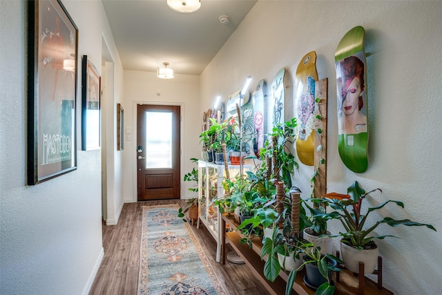 436 Buckeye Ave, Princeton, TX 75407 - doorway with wood finished floors and baseboards