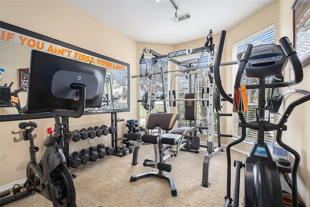 12953 Hurricane Ln, Fort Worth, TX 76244 - workout area featuring carpet floors and track lighting
