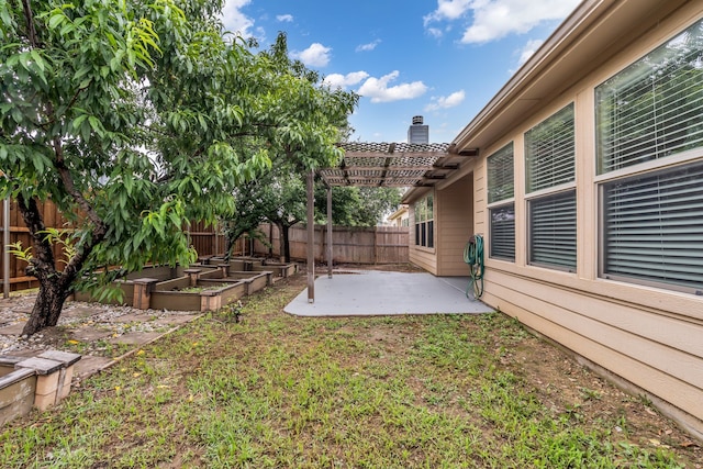 9700 Mulligan Dr, Mckinney, TX 75072 - fenced backyard with a patio, a garden, and a pergola