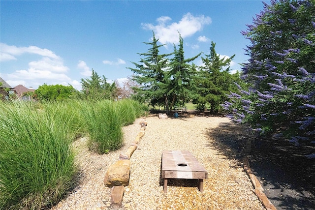 105 Lavender Pl, Mclendon Chisholm, TX 75032 - view of yard
