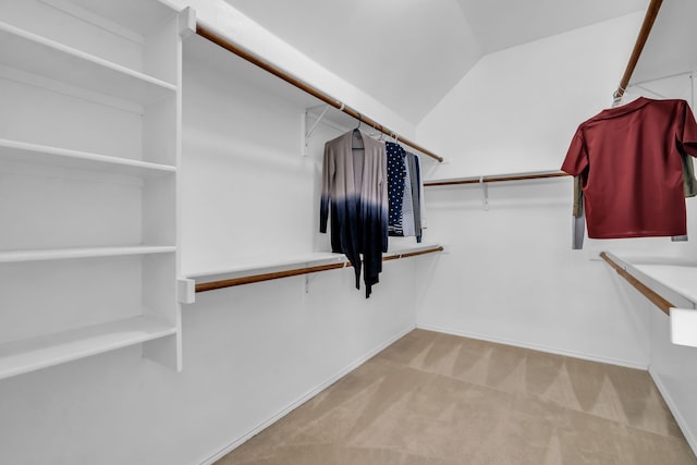 1651 Meadows Ave, Lantana, TX 76226 - walk in closet with carpet flooring and lofted ceiling
