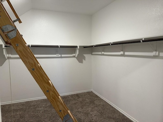 312 Wagon Wheel Dr, Josephine, TX 75189 - walk in closet featuring carpet