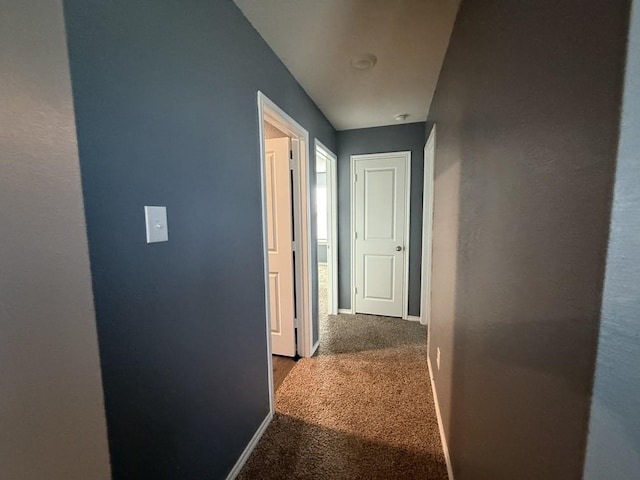 312 Wagon Wheel Dr, Josephine, TX 75189 - hall featuring carpet and baseboards