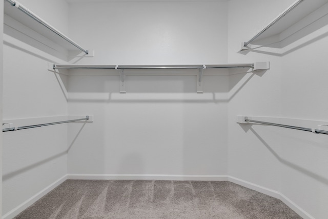 5524 Santa Elena Ct, Fort Worth, TX 76126 - spacious closet with carpet floors