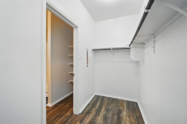 1209 Jasper Xing, Princeton, TX 75407 - walk in closet with wood finished floors